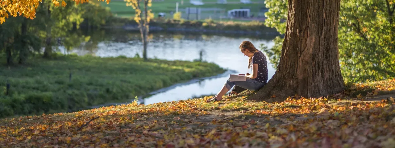 A student sitting under a tree near Paradise Pond.