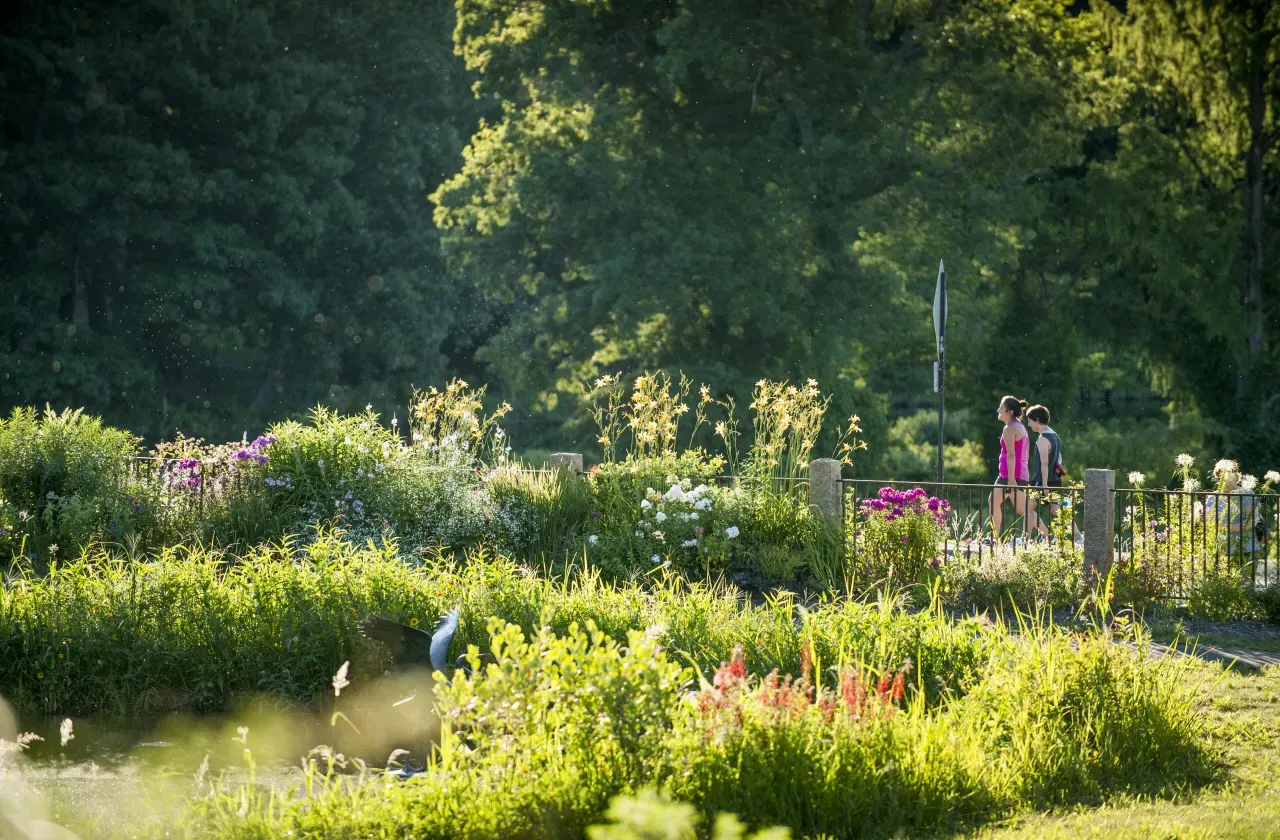 Two people walking down a campus path in the summer.